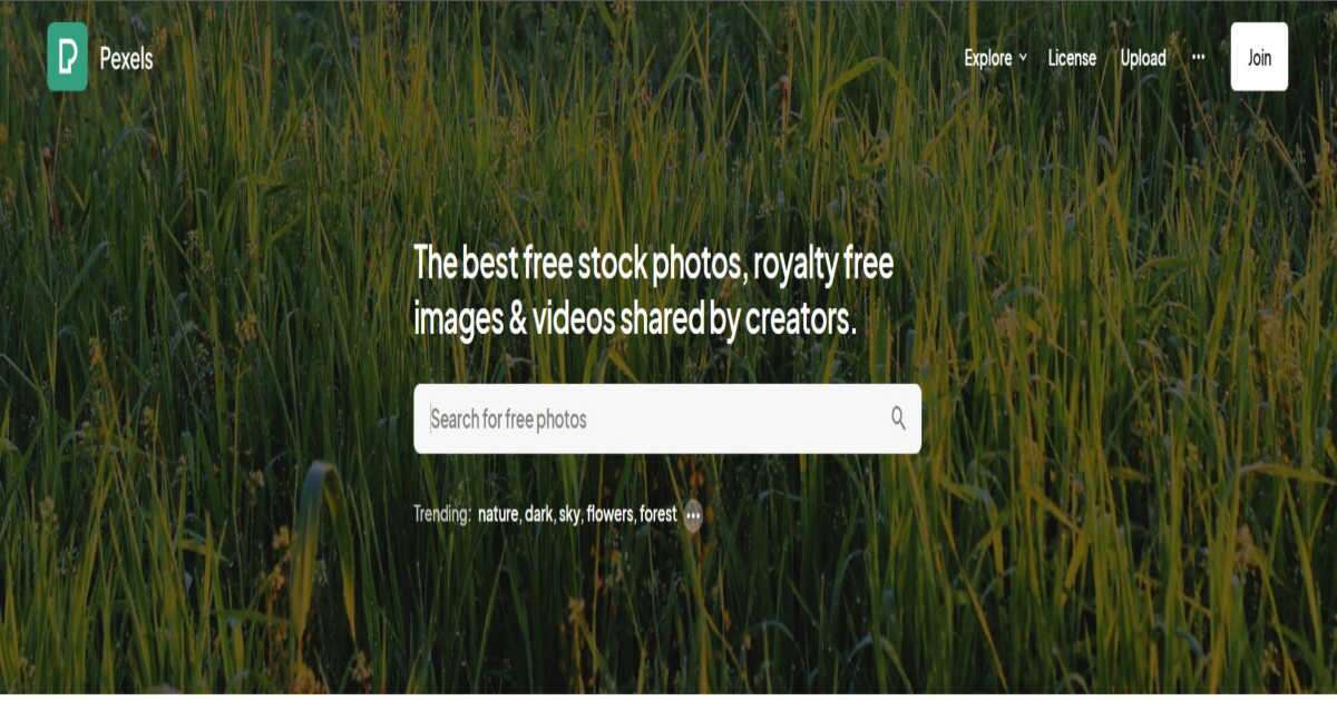 Image